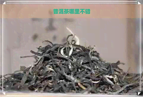 普洱茶哪里不错