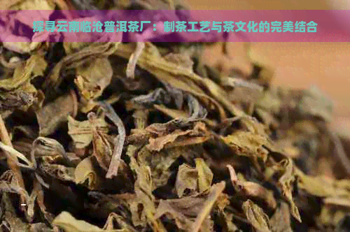 探寻云南临沧普洱茶厂：制茶工艺与茶文化的完美结合