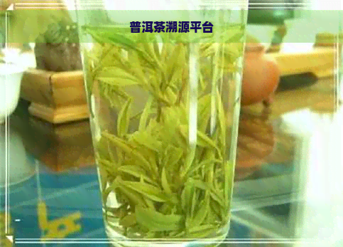 普洱茶溯源平台