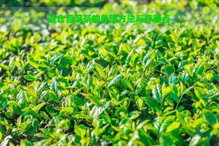 退仓普洱茶的处理方法与存要点