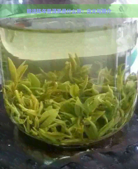 精选陈年普洱茶是什么茶：含义与简介