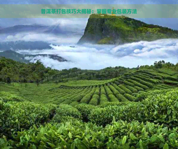 普洱茶打包技巧大揭秘：掌握专业包装方法