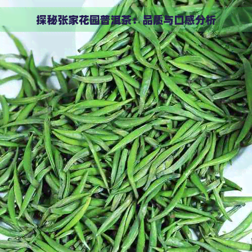 探秘张家花园普洱茶：品质与口感分析