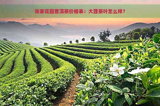 张家花园普洱茶价格表：大理茶叶怎么样？