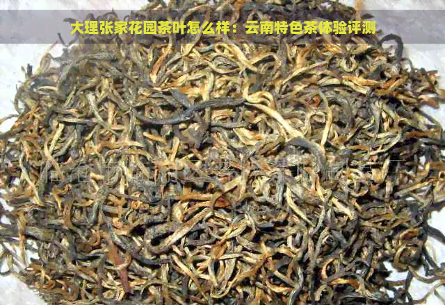 大理张家花园茶叶怎么样：云南特色茶体验评测