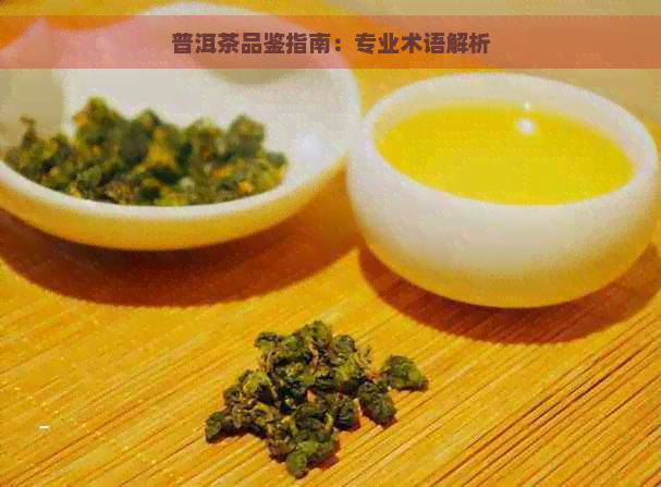 普洱茶品鉴指南：专业术语解析