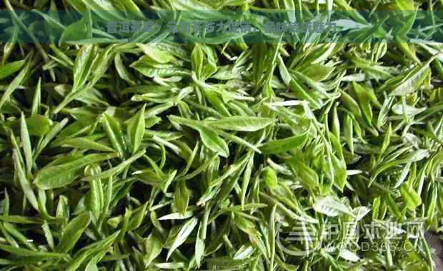 普洱茶宴：云南茶节大促销，品味传统魅力