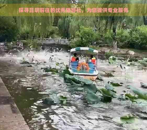 探寻昆明前往的优秀旅游社，为您提供专业服务