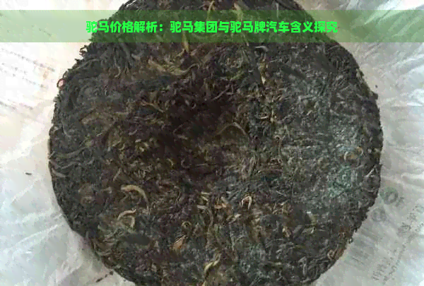 驼马价格解析：驼马集团与驼马牌汽车含义探究