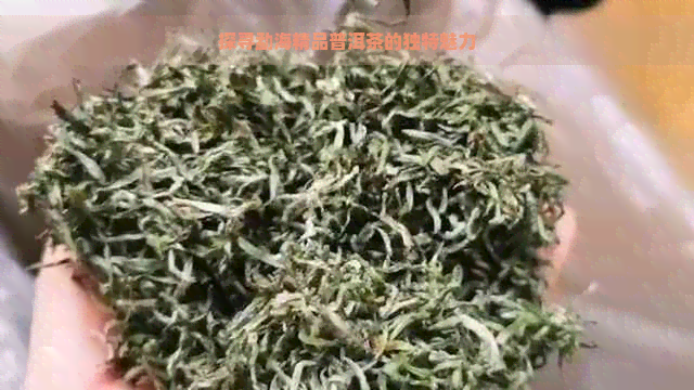 探寻勐海精品普洱茶的独特魅力