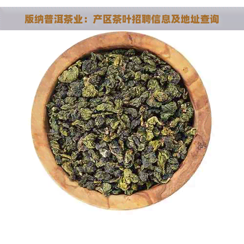 版纳普洱茶业：产区茶叶招聘信息及地址查询