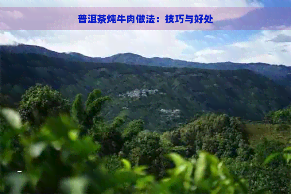 普洱茶炖牛肉做法：技巧与好处