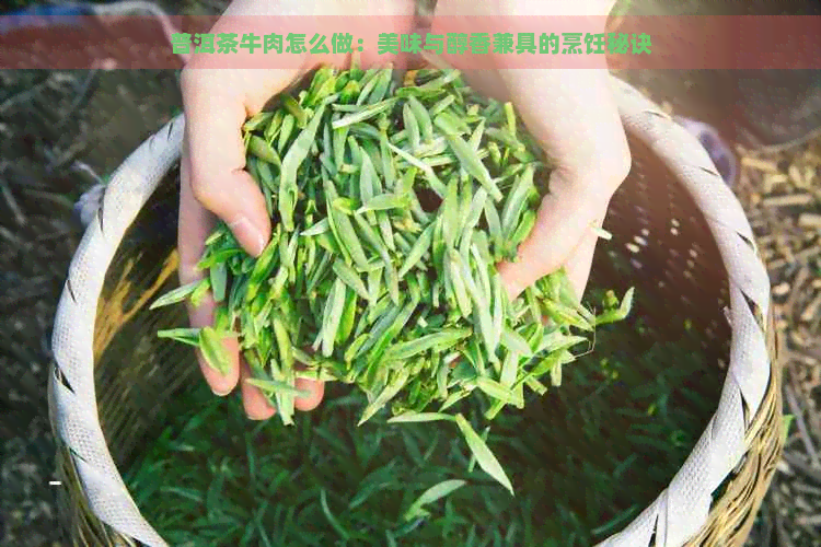 普洱茶牛肉怎么做：美味与醇香兼具的烹饪秘诀