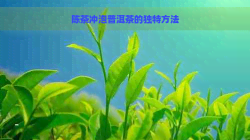 陈茶冲泡普洱茶的独特方法