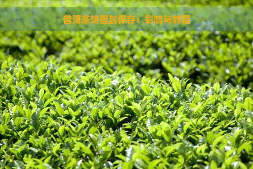 普洱茶饼塑封保存：影响与教程