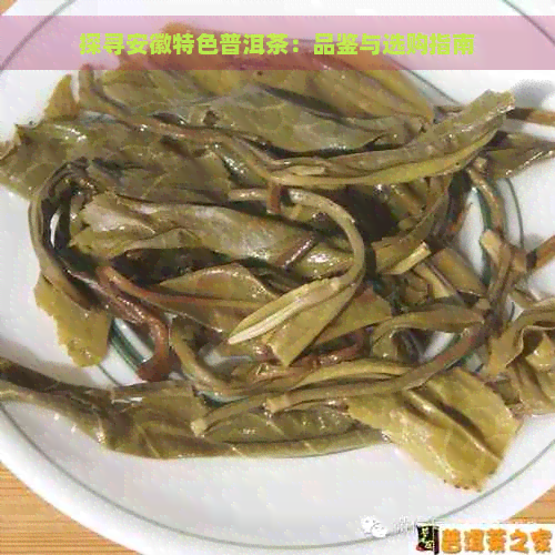 探寻安徽特色普洱茶：品鉴与选购指南