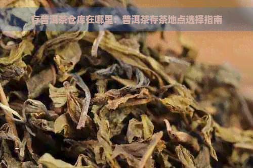 存普洱茶仓库在哪里：普洱茶存茶地点选择指南