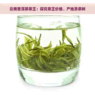 云南普洱茶茶王：探究茶王价格、产地及茶树