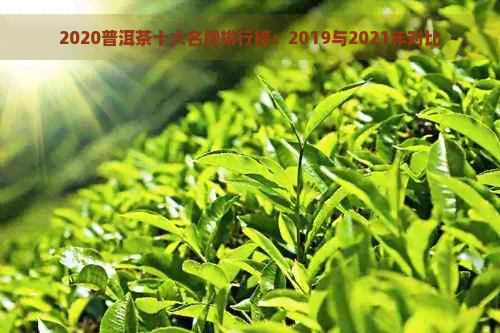 2020普洱茶十大名牌排行榜：2019与2021年对比