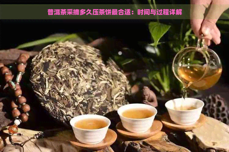 普洱茶采摘多久压茶饼最合适：时间与过程详解