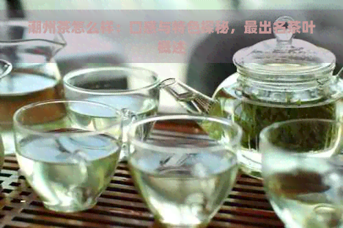 潮州茶怎么样：口感与特色探秘，最出名茶叶概述