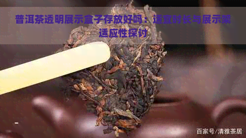 普洱茶透明展示盒子存放好吗：适宜时长与展示架适应性探讨