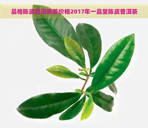 品格陈皮普洱熟茶价格2017年一品堂陈皮普洱茶