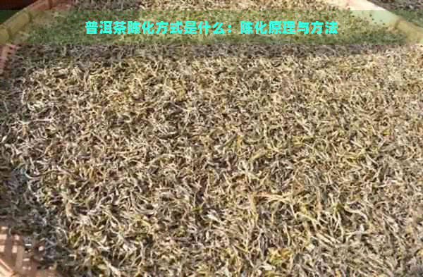 普洱茶陈化方式是什么：陈化原理与方法