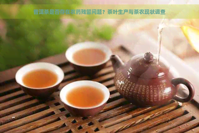 普洱茶是否存在农药残留问题？茶叶生产与茶农现状调查