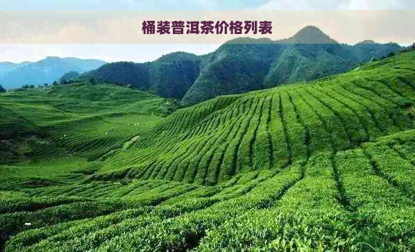 桶装普洱茶价格列表