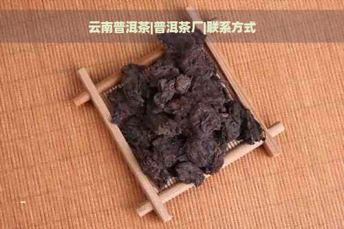 云南普洱茶|普洱茶厂|联系方式