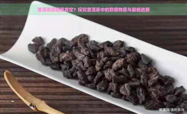 普洱茶致癌是肯定？探究普洱茶中的致癌物质与最新进展