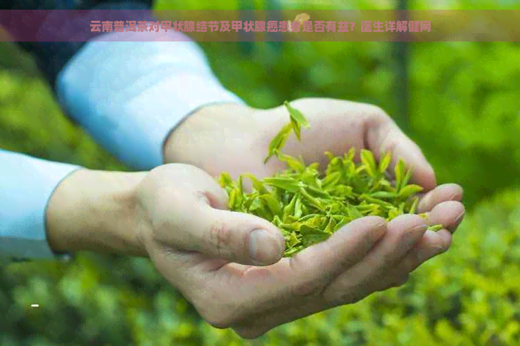 云南普洱茶对甲状腺结节及甲状腺癌患者是否有益？医生详解健网