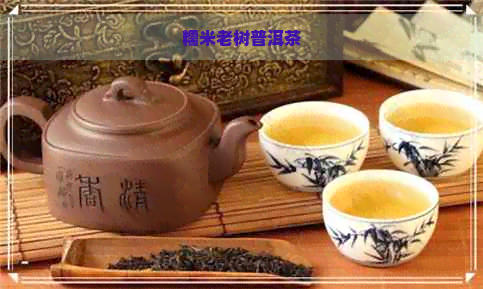 糯米老树普洱茶