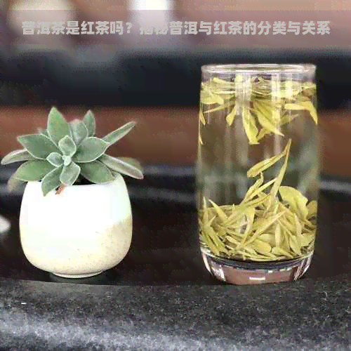 普洱茶是红茶吗？揭秘普洱与红茶的分类与关系