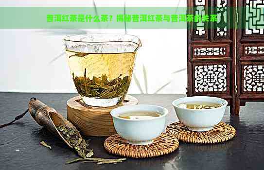 普洱红茶是什么茶？揭秘普洱红茶与普洱茶的关系