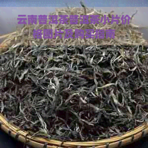 云南普洱茶普洱茶小片价格图片及购买指南