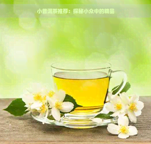 小普洱茶推荐：探秘小众中的精品