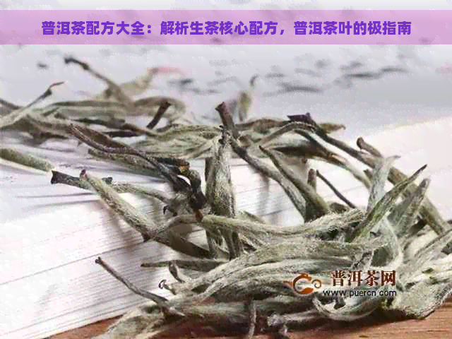 普洱茶配方大全：解析生茶核心配方，普洱茶叶的极指南