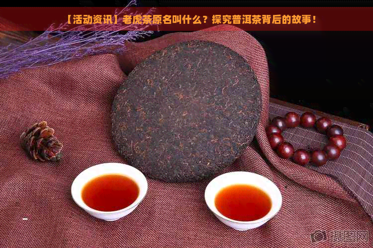 【活动资讯】老虎茶原名叫什么？探究普洱茶背后的故事！