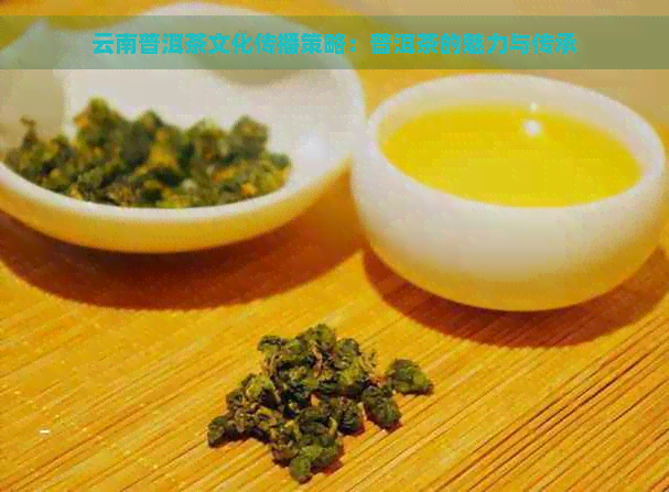 云南普洱茶文化传播策略：普洱茶的魅力与传承