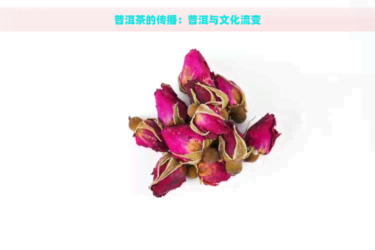 普洱茶的传播：普洱与文化流变