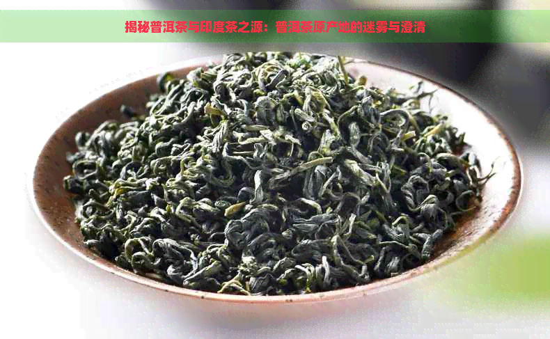 揭秘普洱茶与印度茶之源：普洱茶原产地的迷雾与澄清