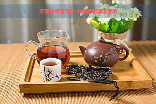 云南昆明普洱茶-云南昆明普洱茶场