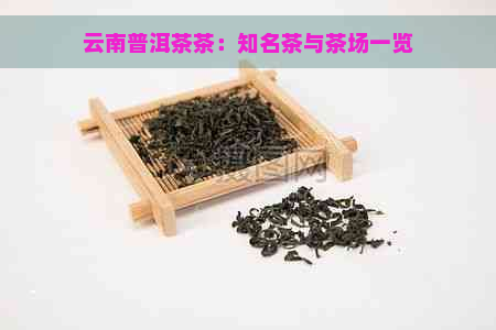 云南普洱茶茶：知名茶与茶场一览