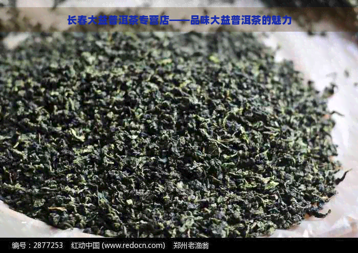 长春大益普洱茶专营店——品味大益普洱茶的魅力