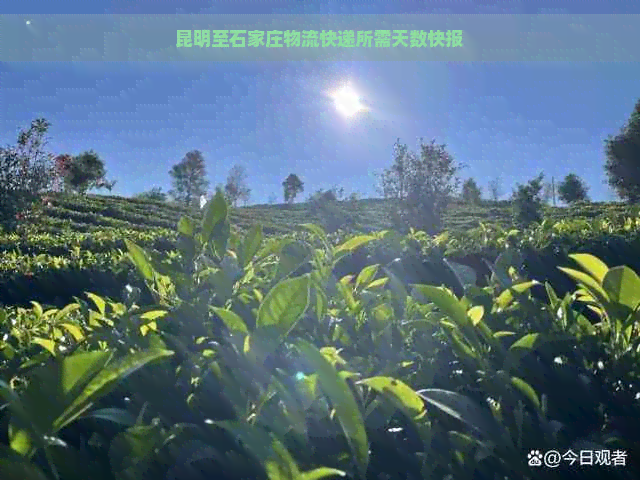 昆明至石家庄物流快递所需天数快报