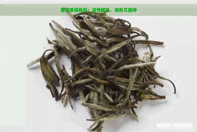 普洱茶燥热吗：凉性解热，清热又提神