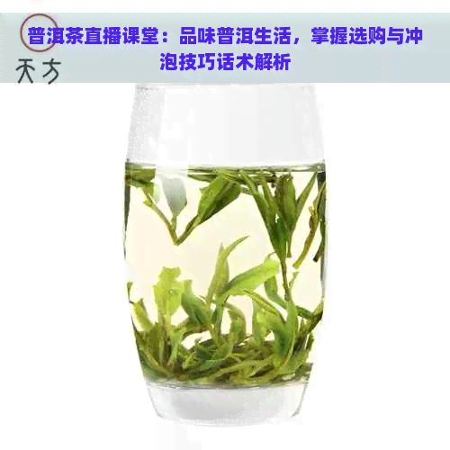 普洱茶直播课堂：品味普洱生活，掌握选购与冲泡技巧话术解析