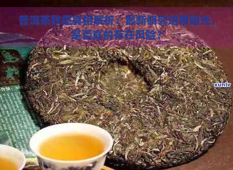 普洱茶致癌真相解析：最新研究进展曝光，是否真的存在风险？